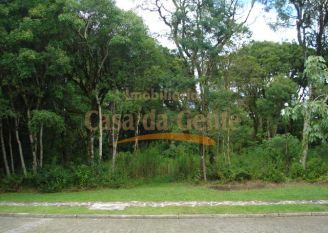 Terreno em Canela