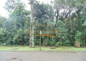 Terreno em Canela
