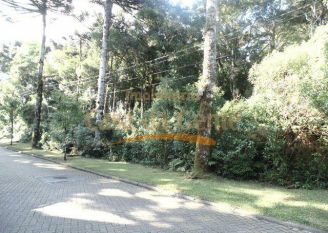 Terreno em Gramado