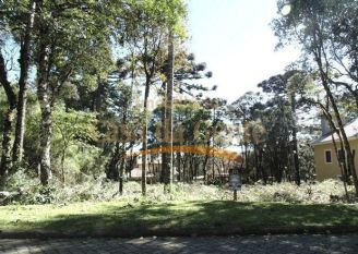 Terreno em Canela