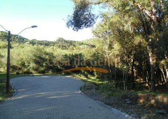 Terreno em Canela