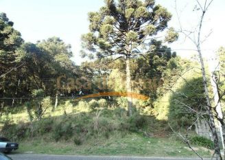 Terreno em Canela