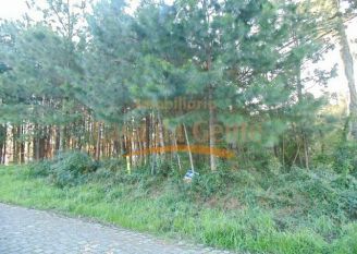 Apartamento em Gramado