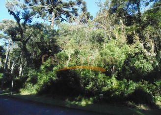 Terreno em Canela