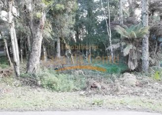Terreno em Gramado