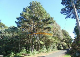 Terreno em Gramado
