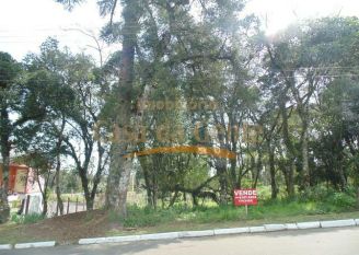 Terreno em Gramado