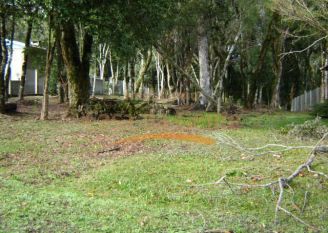 Terreno em Gramado