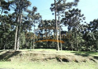 Terreno em Gramado