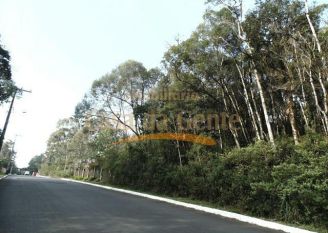 Terreno em Gramado