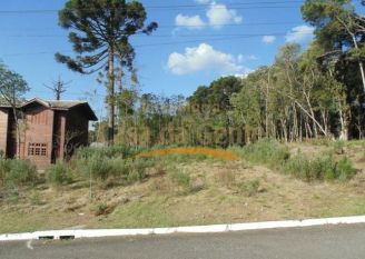 Terreno em Gramado