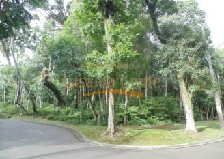 Terreno em Gramado