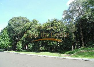 Terreno em Gramado