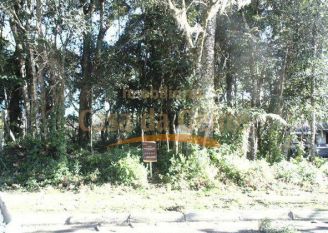 Terreno em Gramado