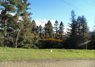 Terreno em Gramado