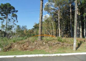 Terreno em Gramado