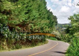 Terreno em Gramado
