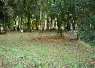 Terreno em Gramado