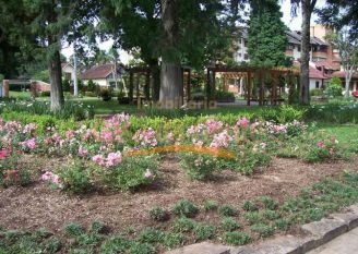 Apartamento em Gramado