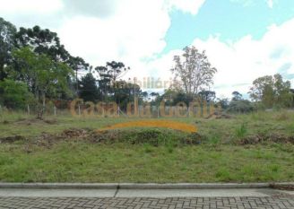 Terreno em Gramado