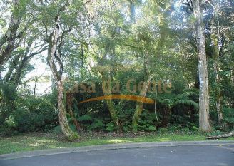 Terreno em Gramado