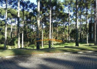 Terreno em Gramado