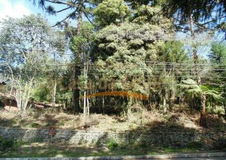 Terreno em Gramado